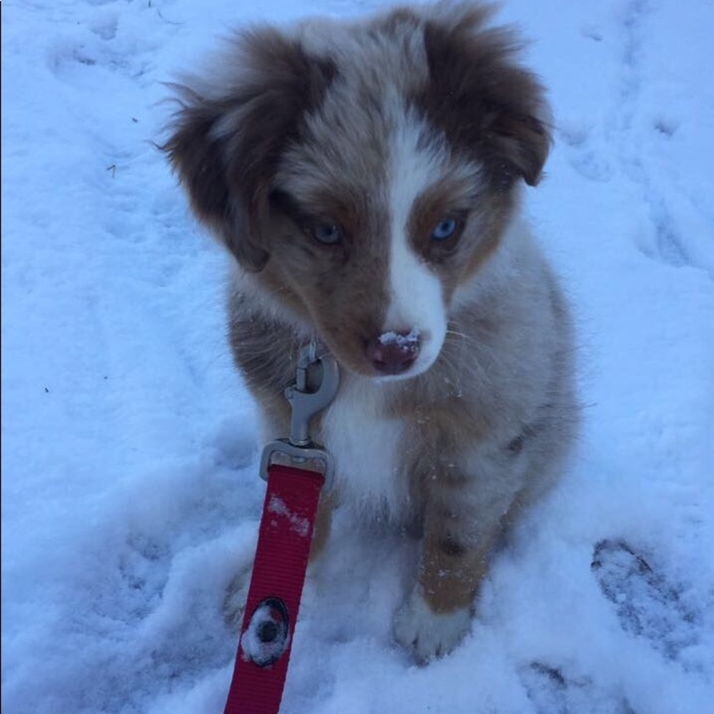 Meet your Posher, Kristen